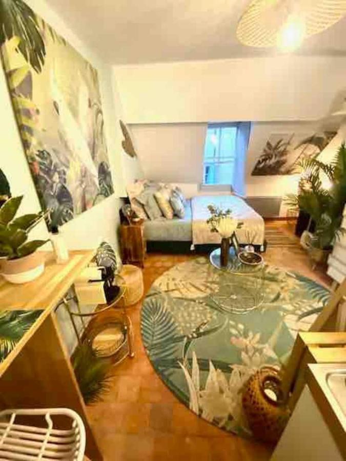 Escale Tropicale A Blois Leilighet Eksteriør bilde